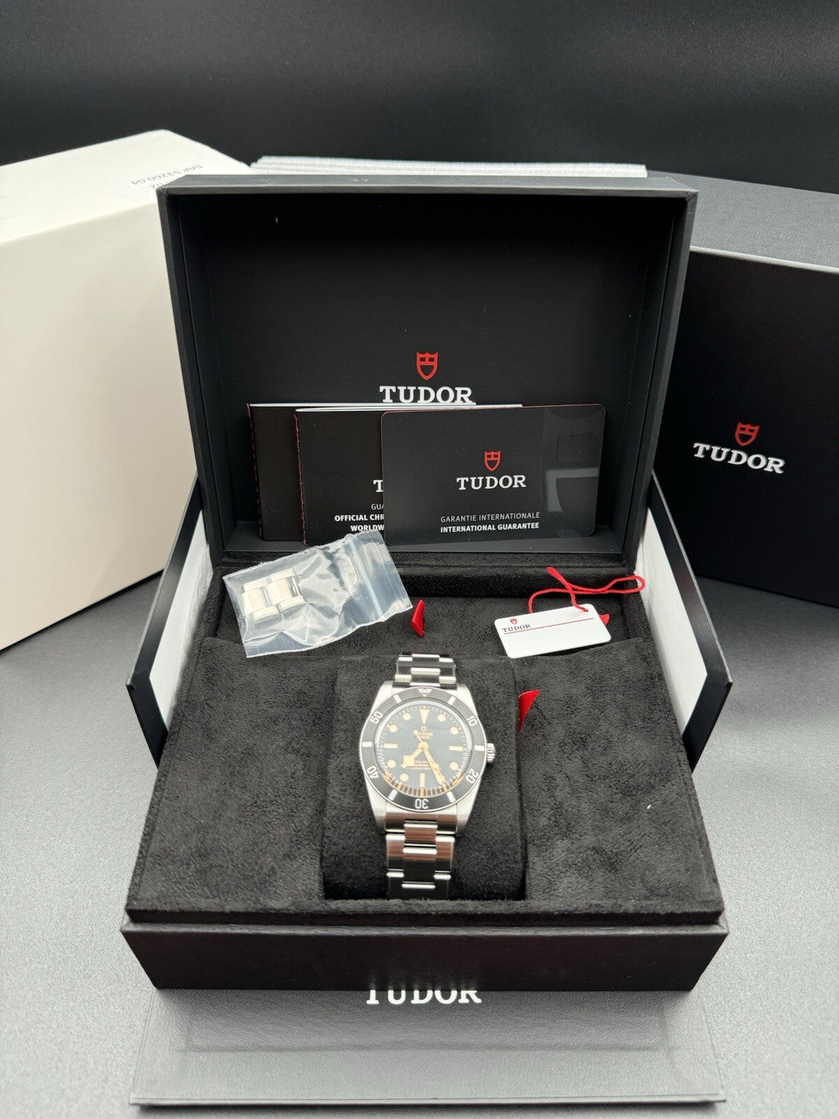 Tudor Black Bay 54 37mm 79000N