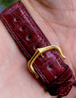 Must de Cartier Tank LM Manual Wind Burgundy Spiderweb Dial